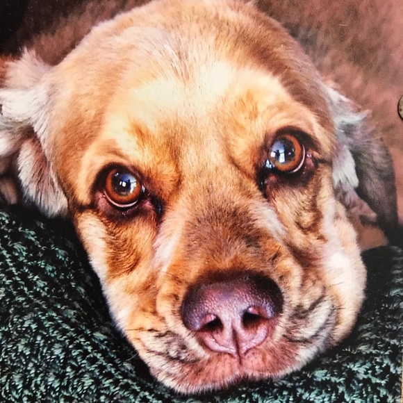 Meet your Posher, Tina - Picture 2 of 3